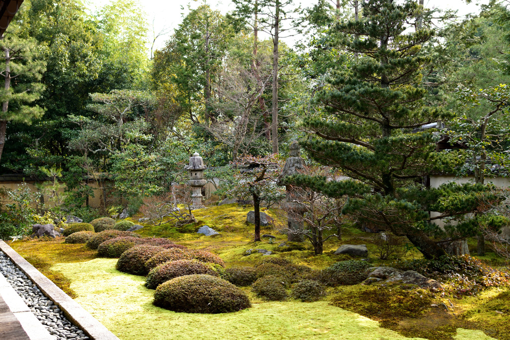 大雄院　書院前の庭園