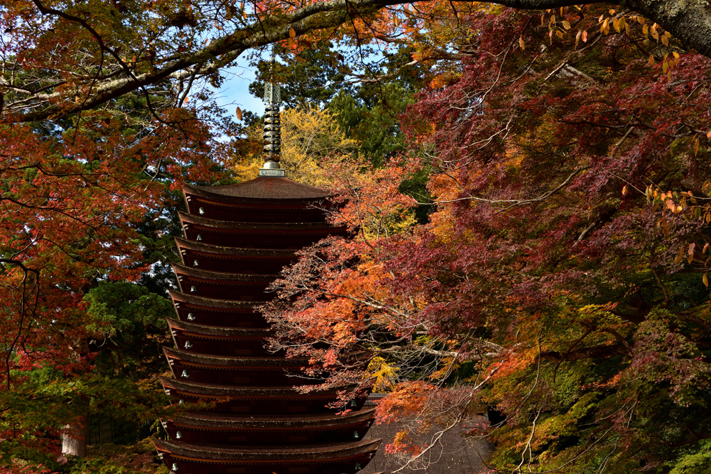 17’紅葉の談山神社②