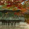 Gradation