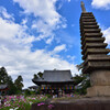 秋の般若寺