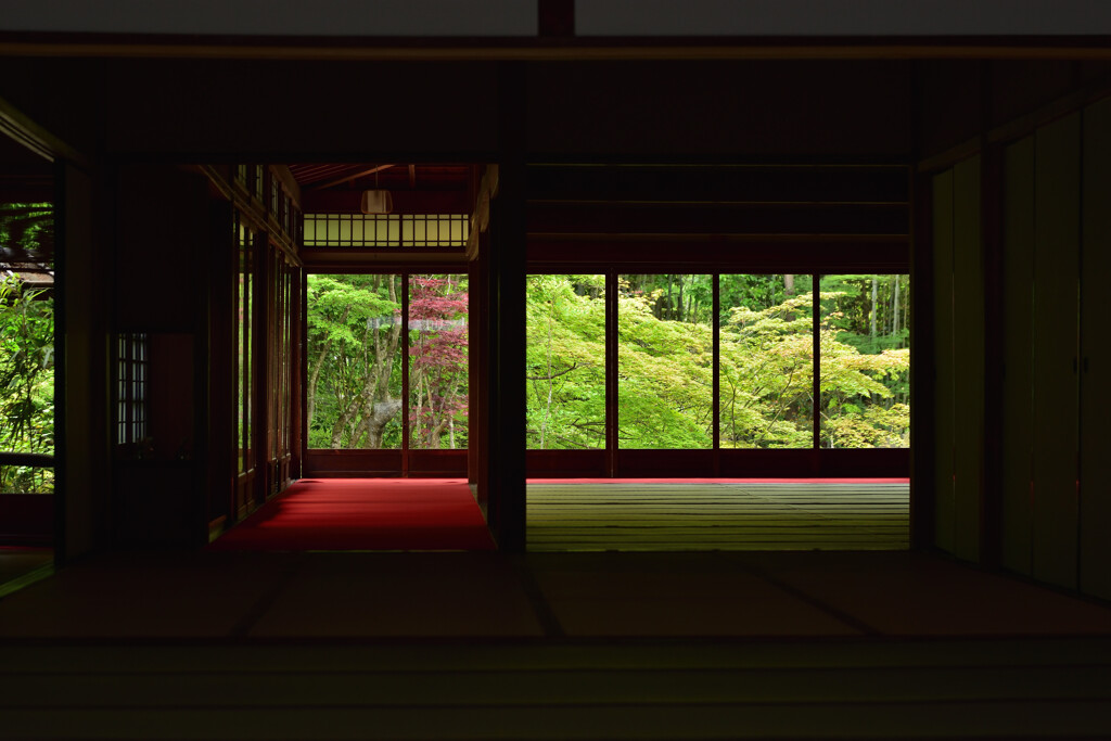 新緑の天授庵
