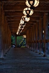 晩秋～紅葉の長谷寺　陸