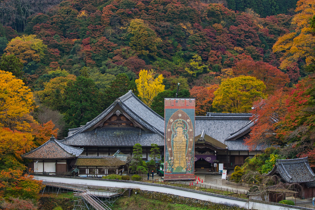 錦秋～長谷寺～本坊