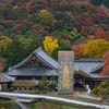 錦秋～長谷寺～本坊