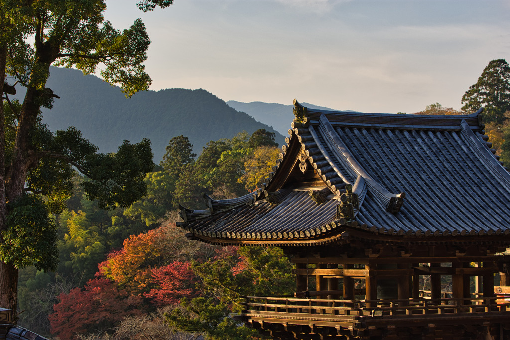 錦秋の長谷寺　其の捌