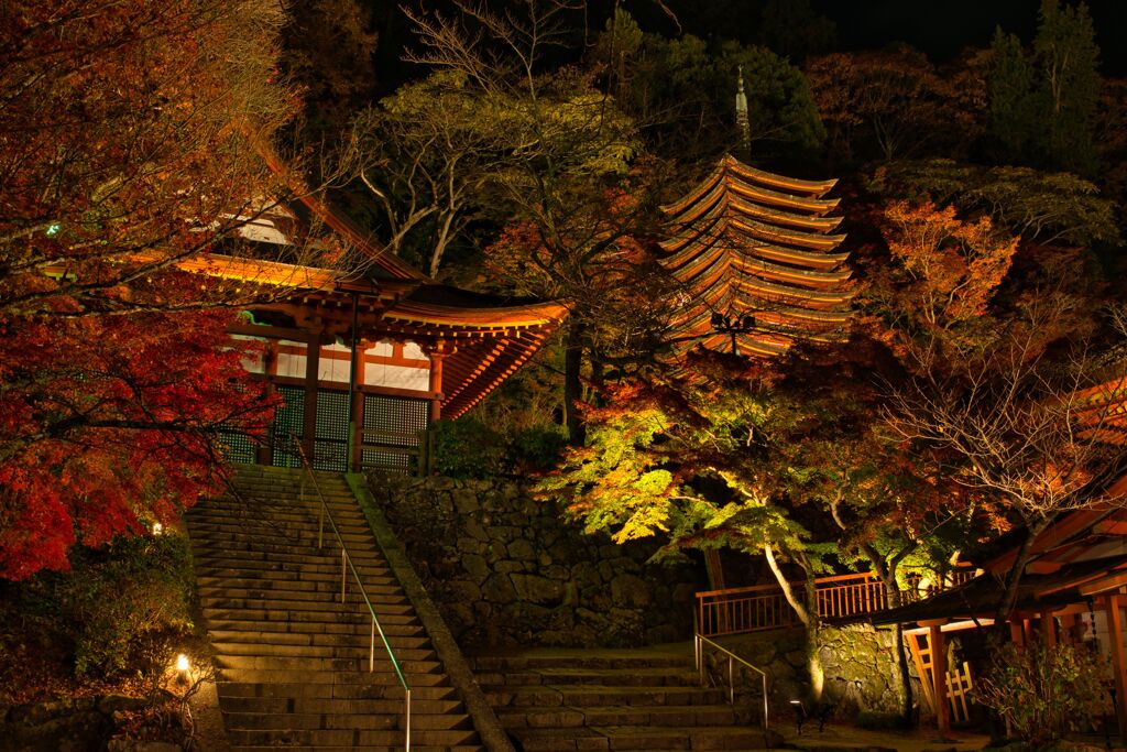 秋の夜の談山神社