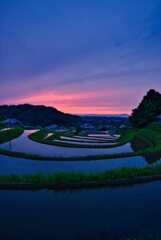 残照の阪田　其の弐