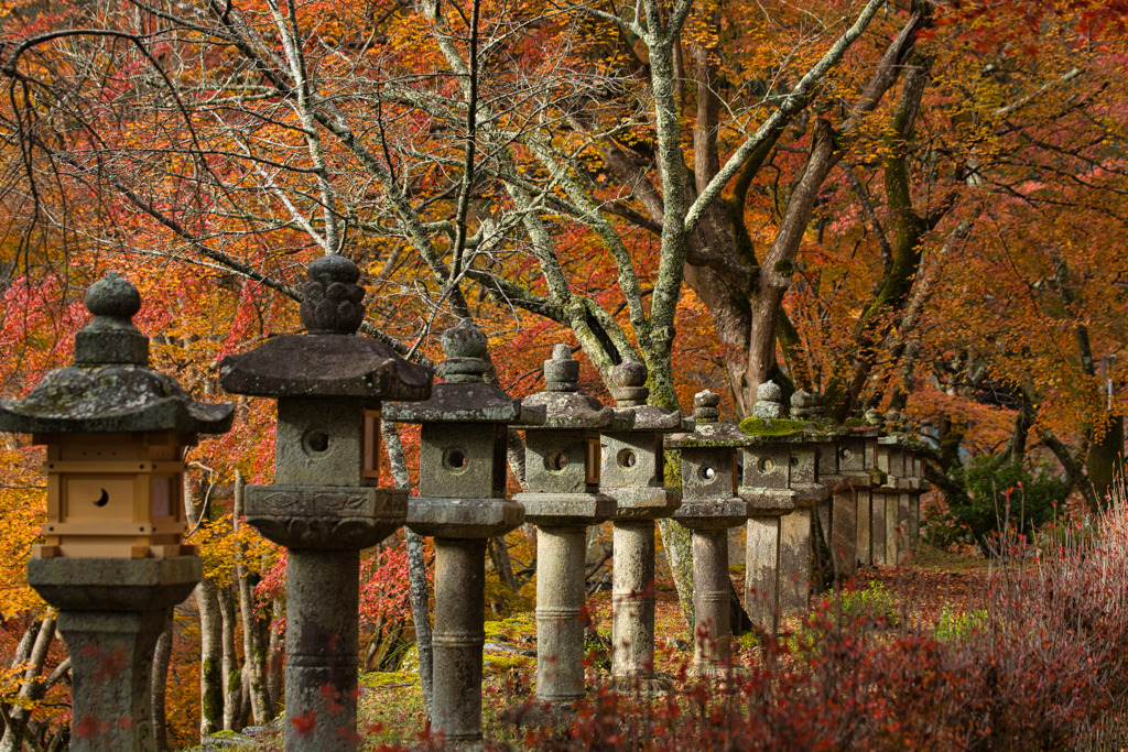 紅葉と石燈籠