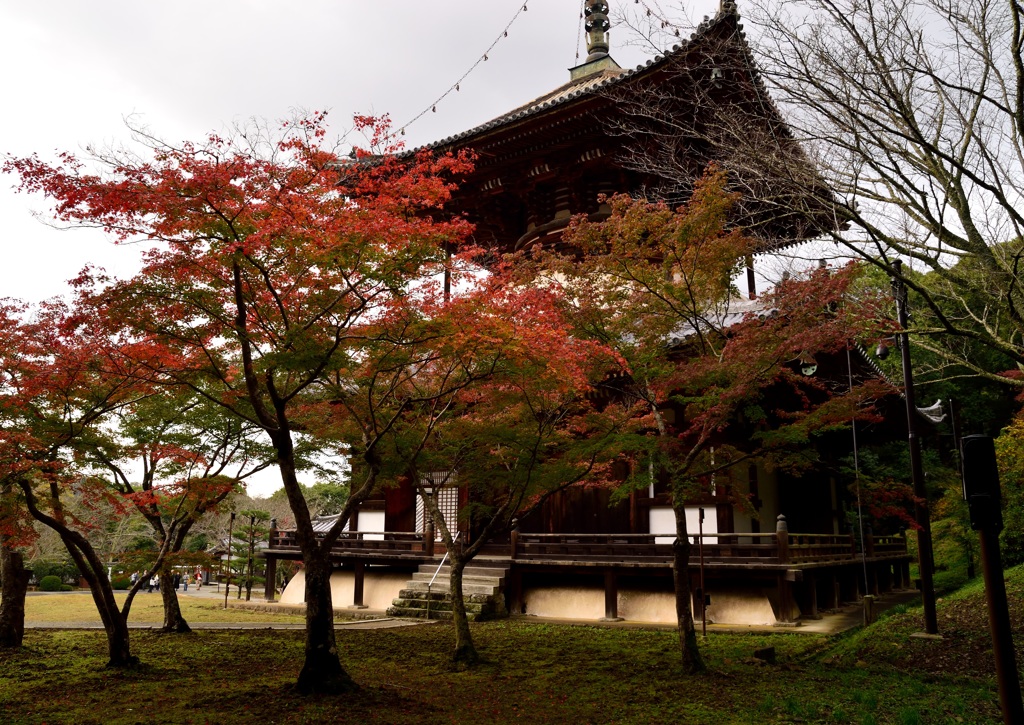 紅葉の中の大塔