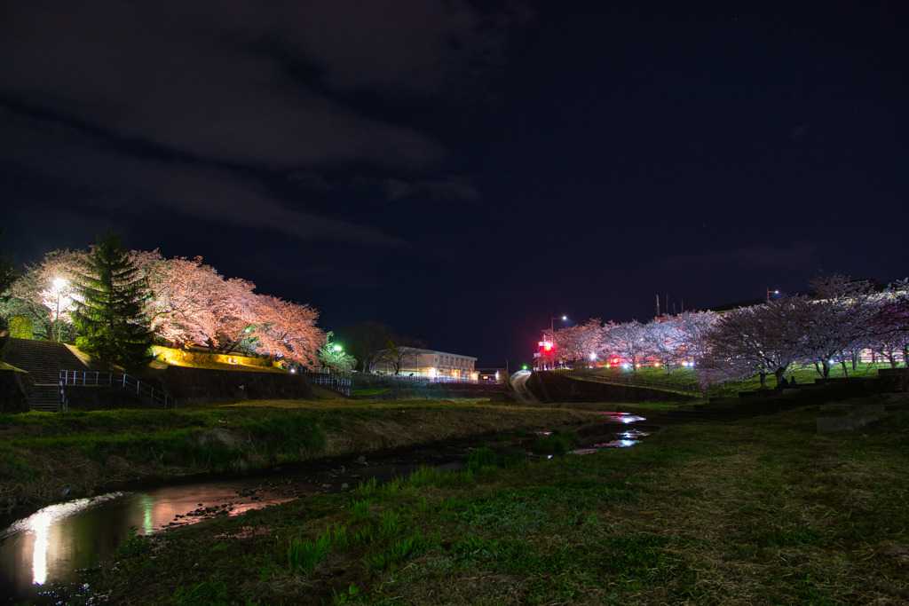 照らされて・・春