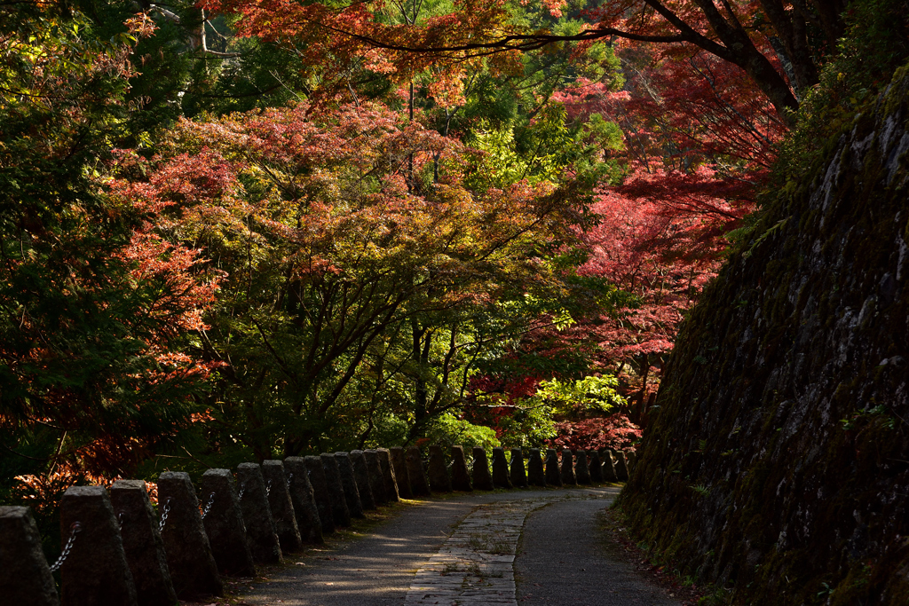 高城山にて③