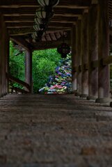 登廊の先・・・・・紫陽花