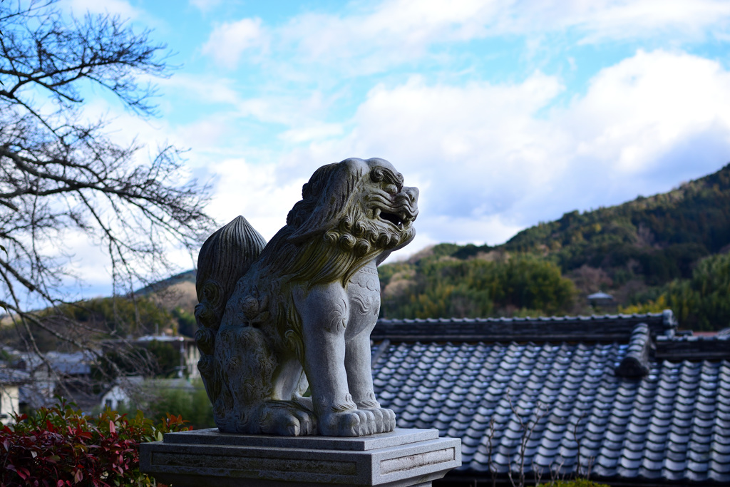 お行儀が宜しいようで・・＾＾