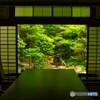 緑に染まる・・方丈