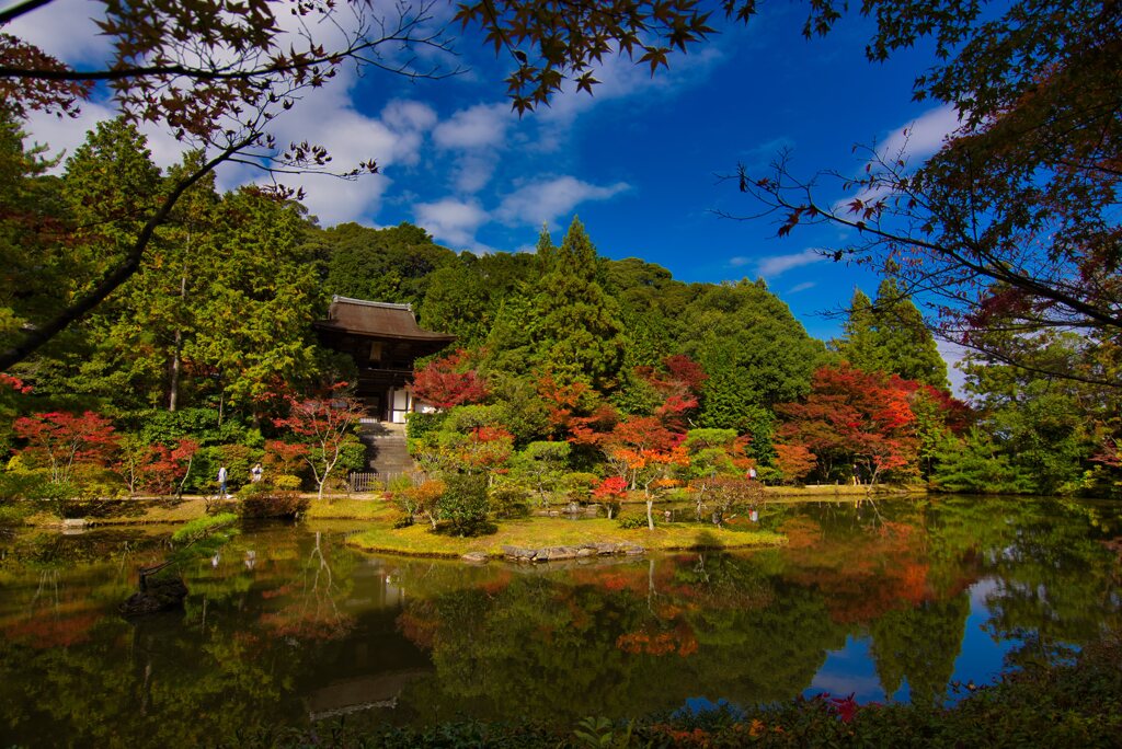 紅葉の名勝庭園～円成寺　其の弐