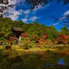 紅葉の名勝庭園～円成寺　其の弐