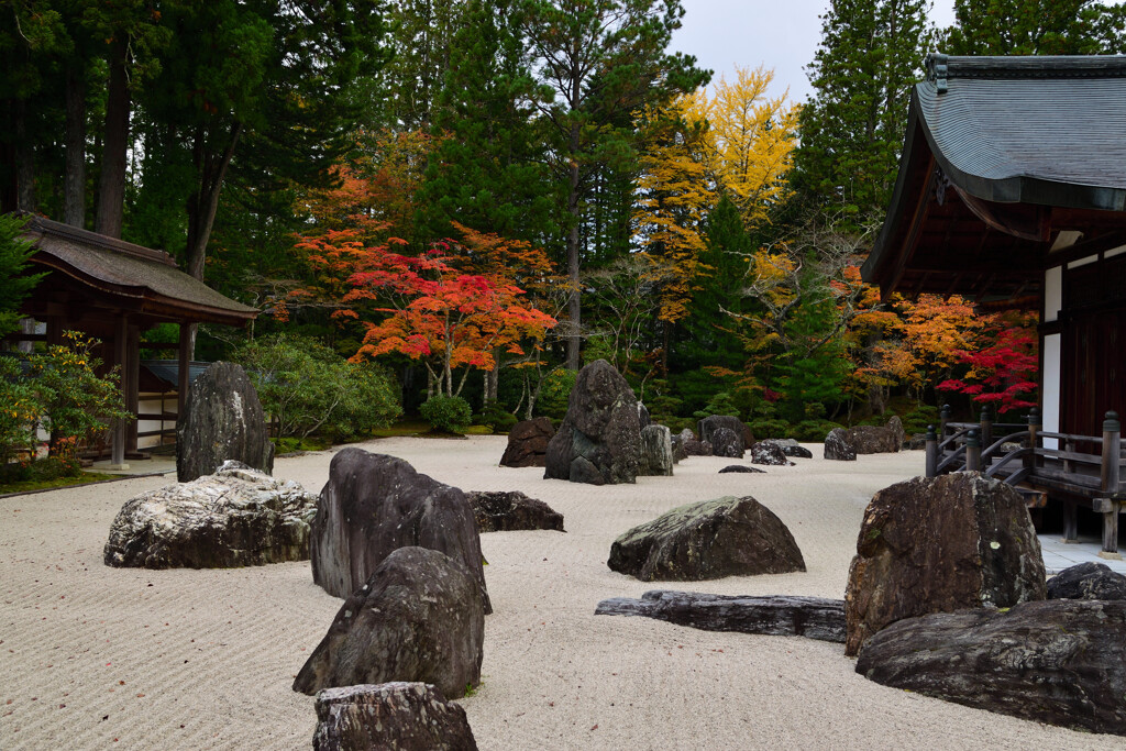 金剛峯寺　蟠龍庭②