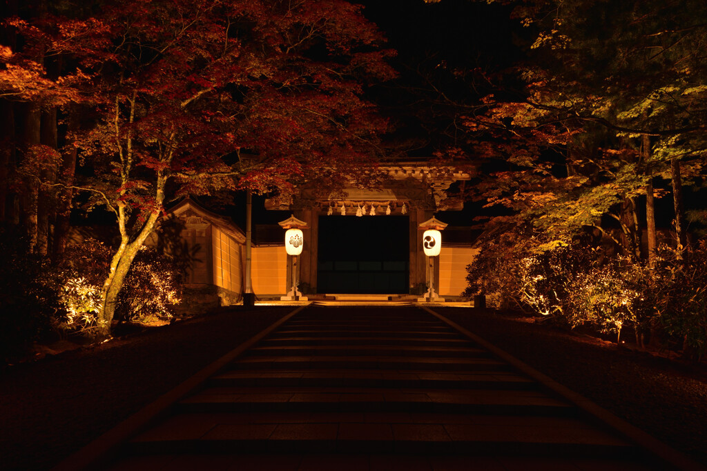 夜明け前の表門