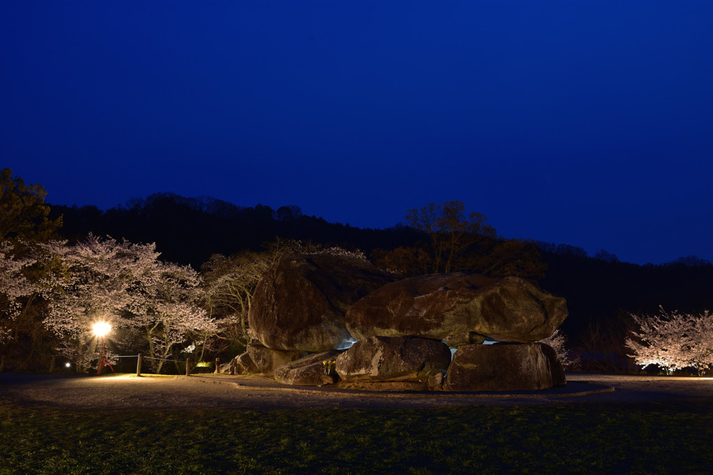 夜の石舞台古墳とサクラ②