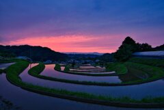 阪田の残照