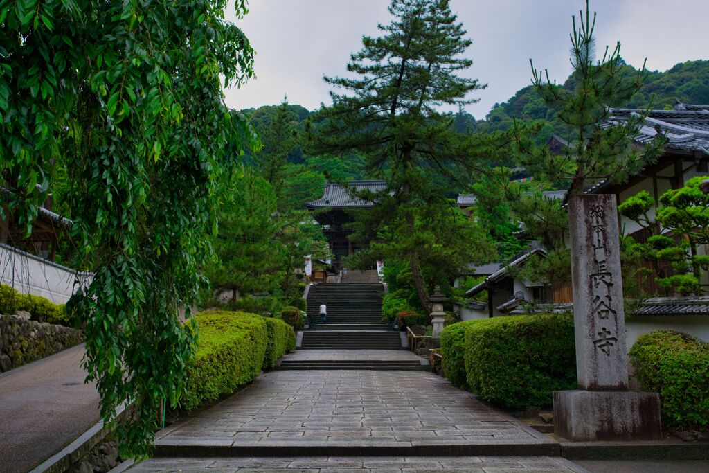 いざ参らん！～長谷寺