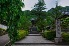 いざ参らん！～長谷寺