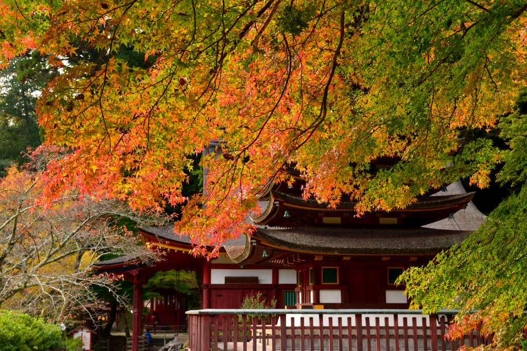 十三重塔と紅葉