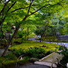 宝厳院　深緑の庭園