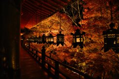 錦秋の拝殿　壱