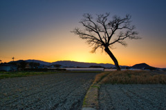 春～古宮土壇の夕暮れ