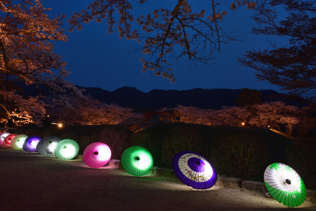 夜の石舞台古墳とサクラ①
