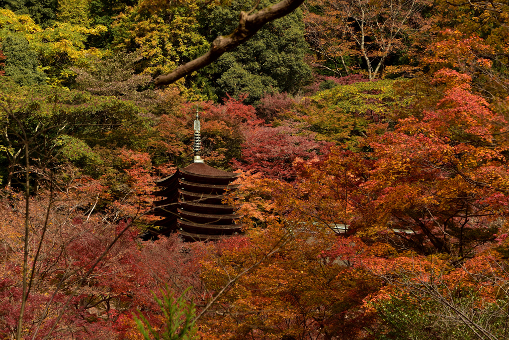 17'紅葉の談山神社①