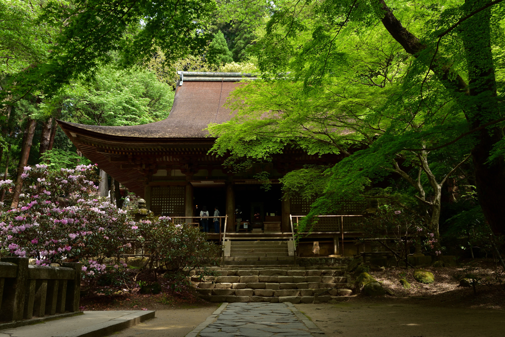 石楠花咲く灌頂堂