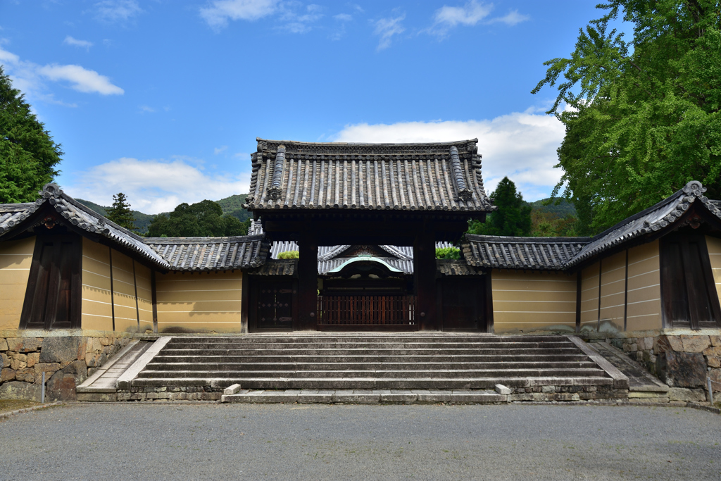 随心院　薬医門
