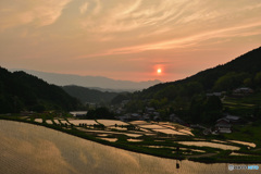 棚田のある夕景～明日香村