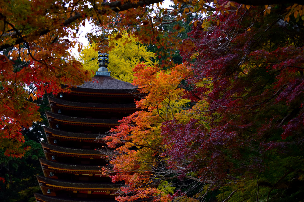 Re談山神社　⑤