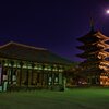 東金堂と五重塔～興福寺　Night　Version