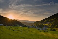 実りの秋～細川