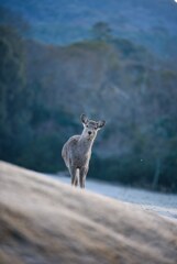 朝のご挨拶♪