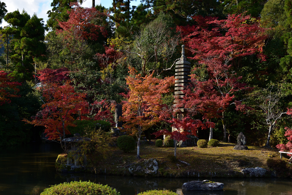 嵯峨釈迦堂　忠霊塔の紅葉