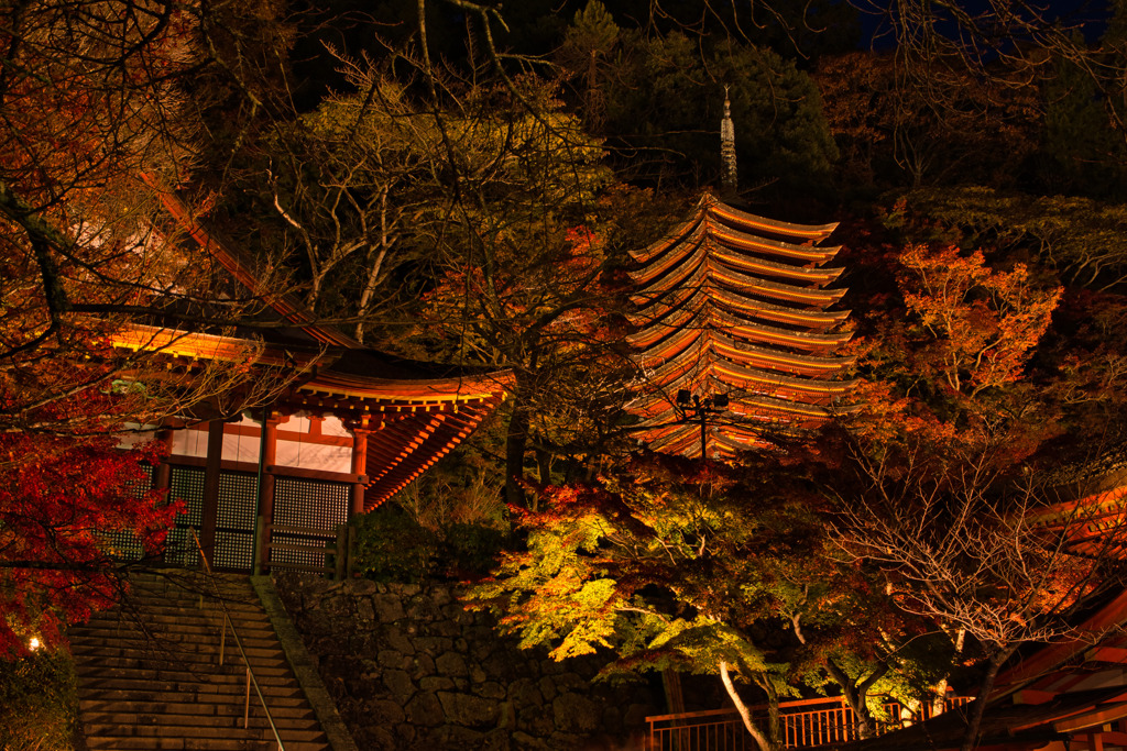 秋～ライトアップの談山神社　壱