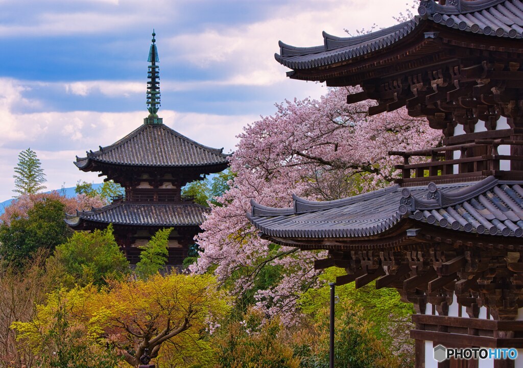 古寺に訪れた春