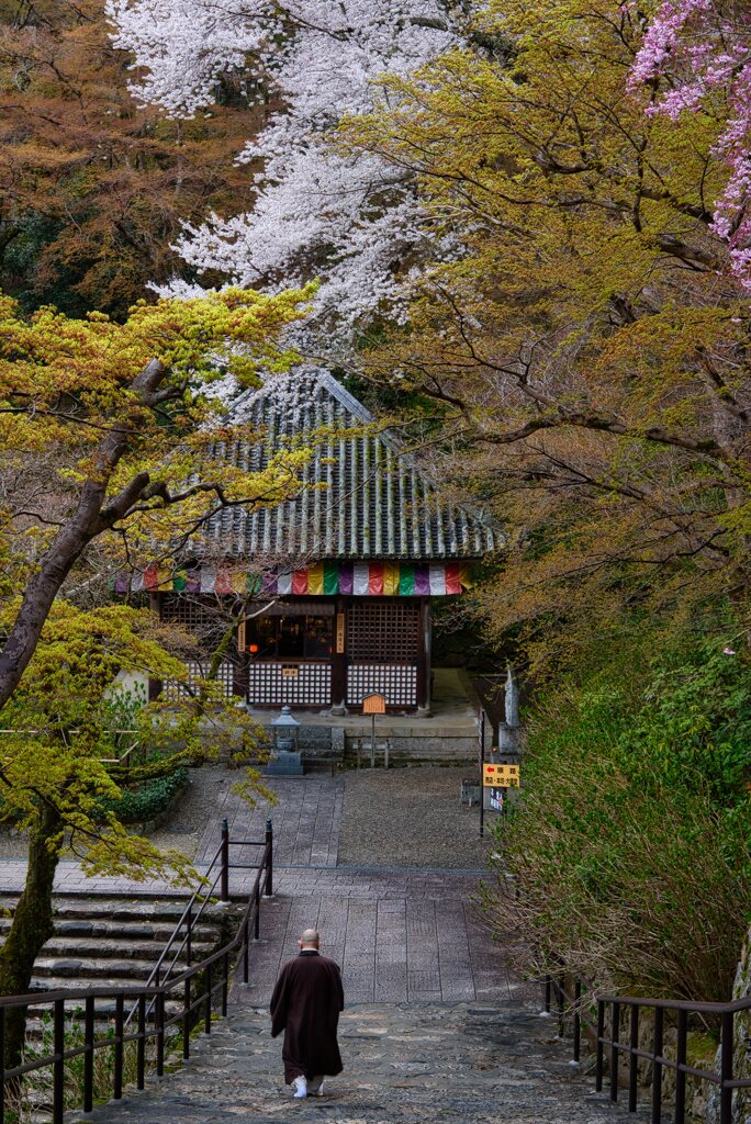 花の御寺　肆