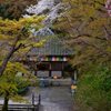 花の御寺　肆