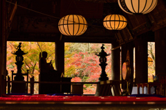 紅葉の長谷寺　本堂の彩　其の弐　