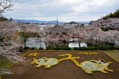 見下ろして・・・文殊院