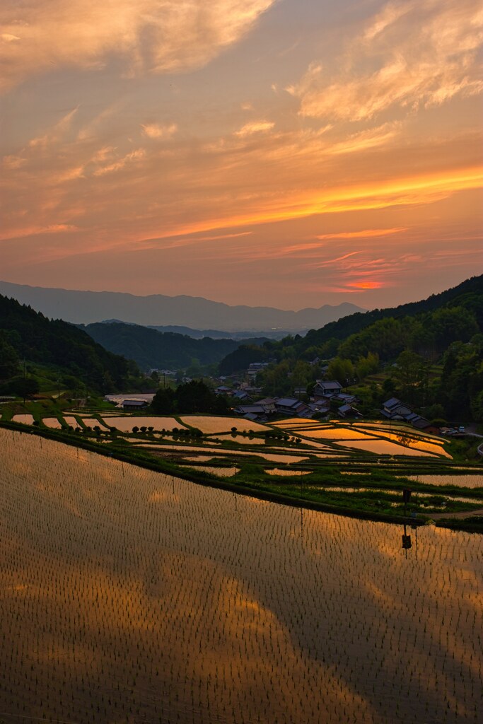 夕陽と棚田　弐