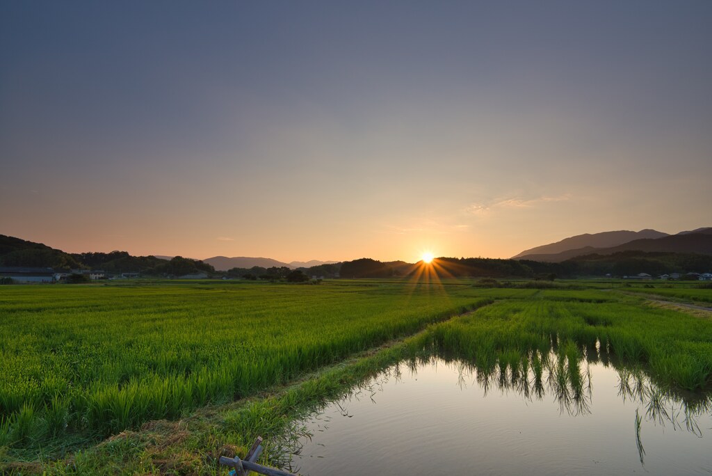 夏　小山の朝　弐