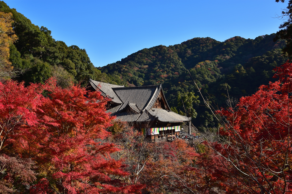 両手に華