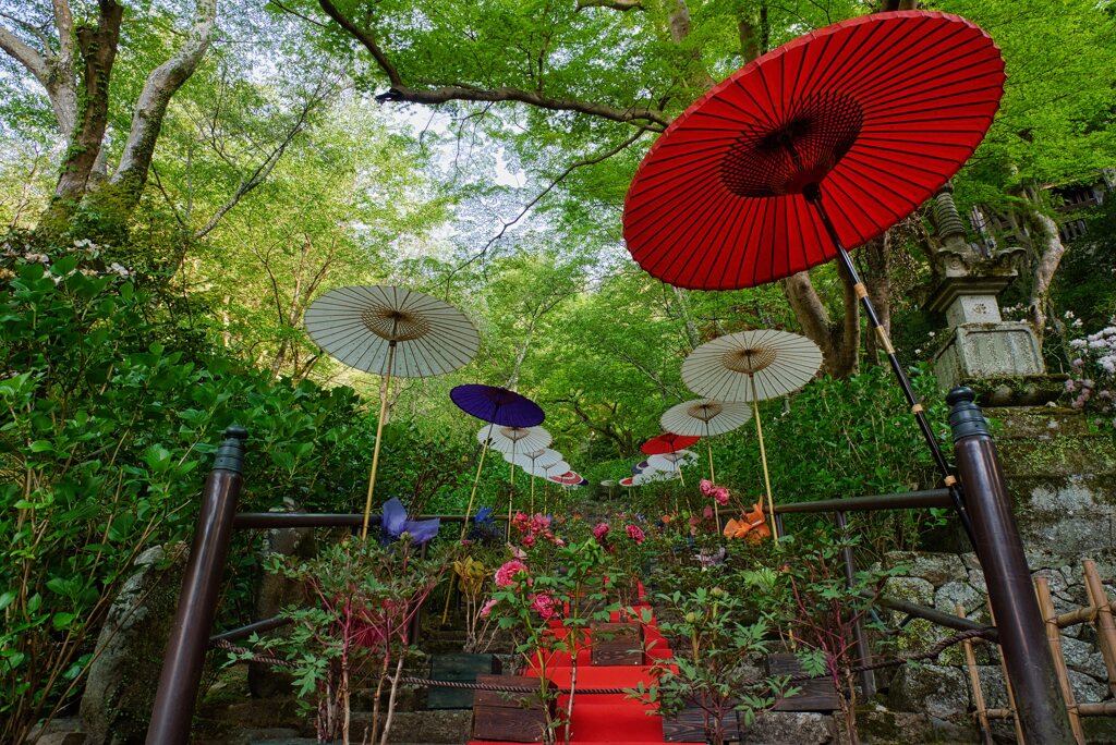 牡丹回廊